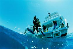 stage advanced open water diver padi