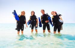 stage open water diver padi