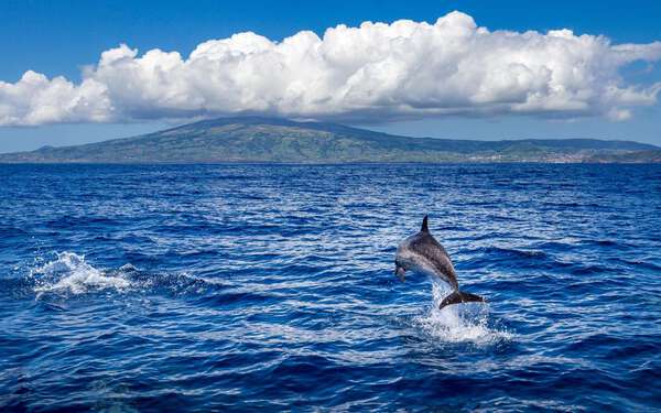 île des Açores - partez avec Voyage-Plongee.com