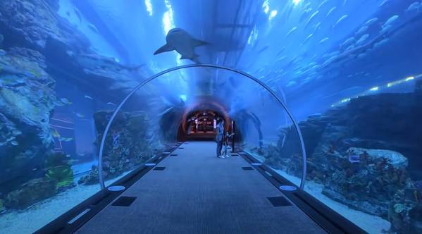 Plongée à Dubai dans l'aquarium suspendu