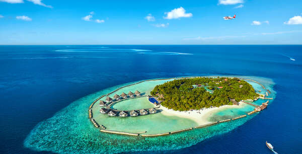 Voyage plongée sur l'île d'Ari Atoll aux Maldives