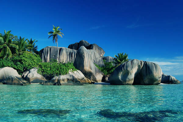 Plongée sur l'île des Seychelles avec voyage-plongee.com