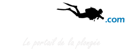 Logo de la marque voyage-plongee.com - Une propriété de la société INGIN spécialisée en refonte de site internet